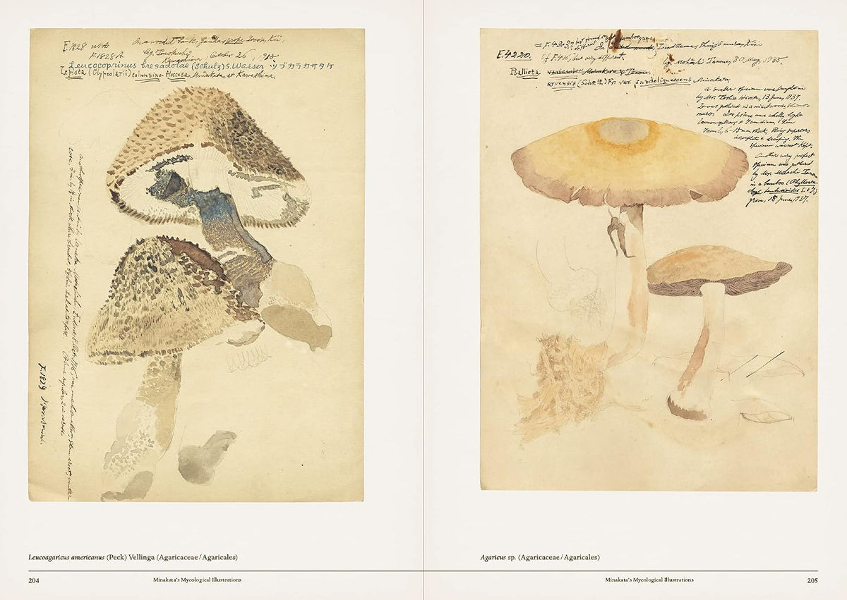 LIBRO MUSHROOM BOTANICAL ART