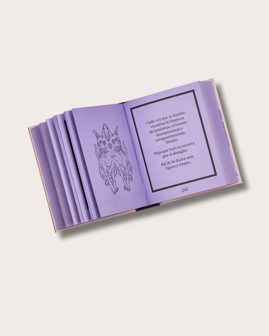 LIBRO ORACULO MAGICO