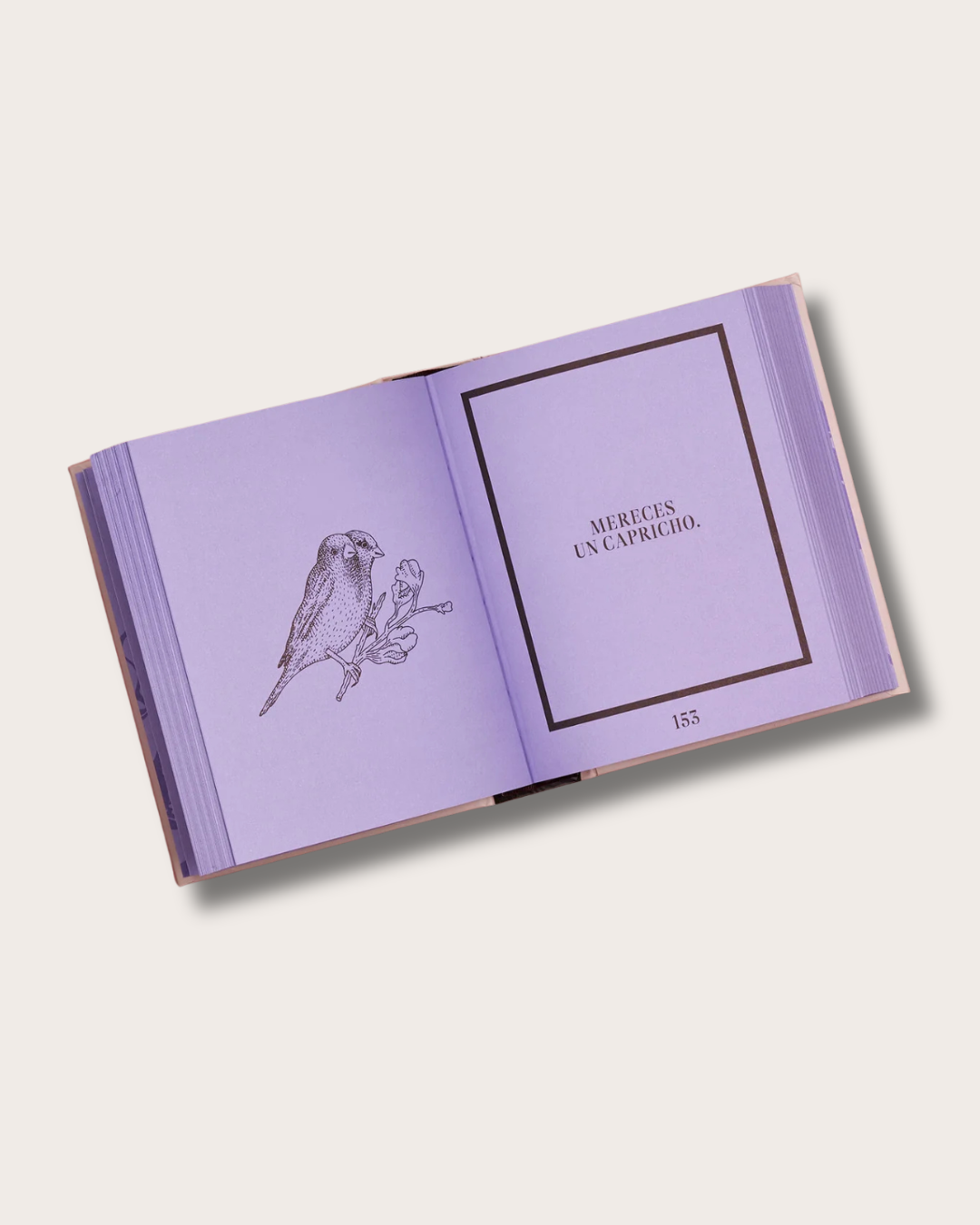 LIBRO ORACULO MAGICO