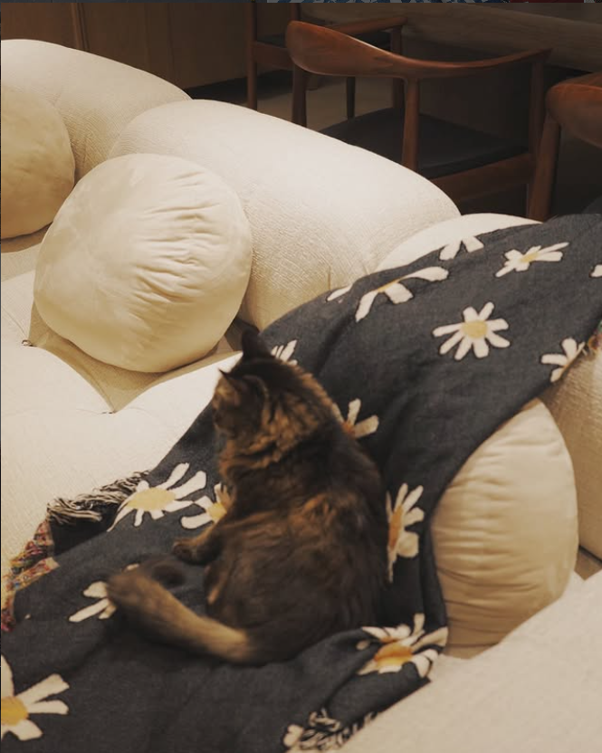 BLANKET BIEN MAL - BEATRIZ