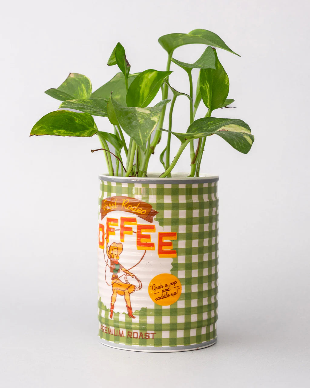 JARRON COFFEE RODEO