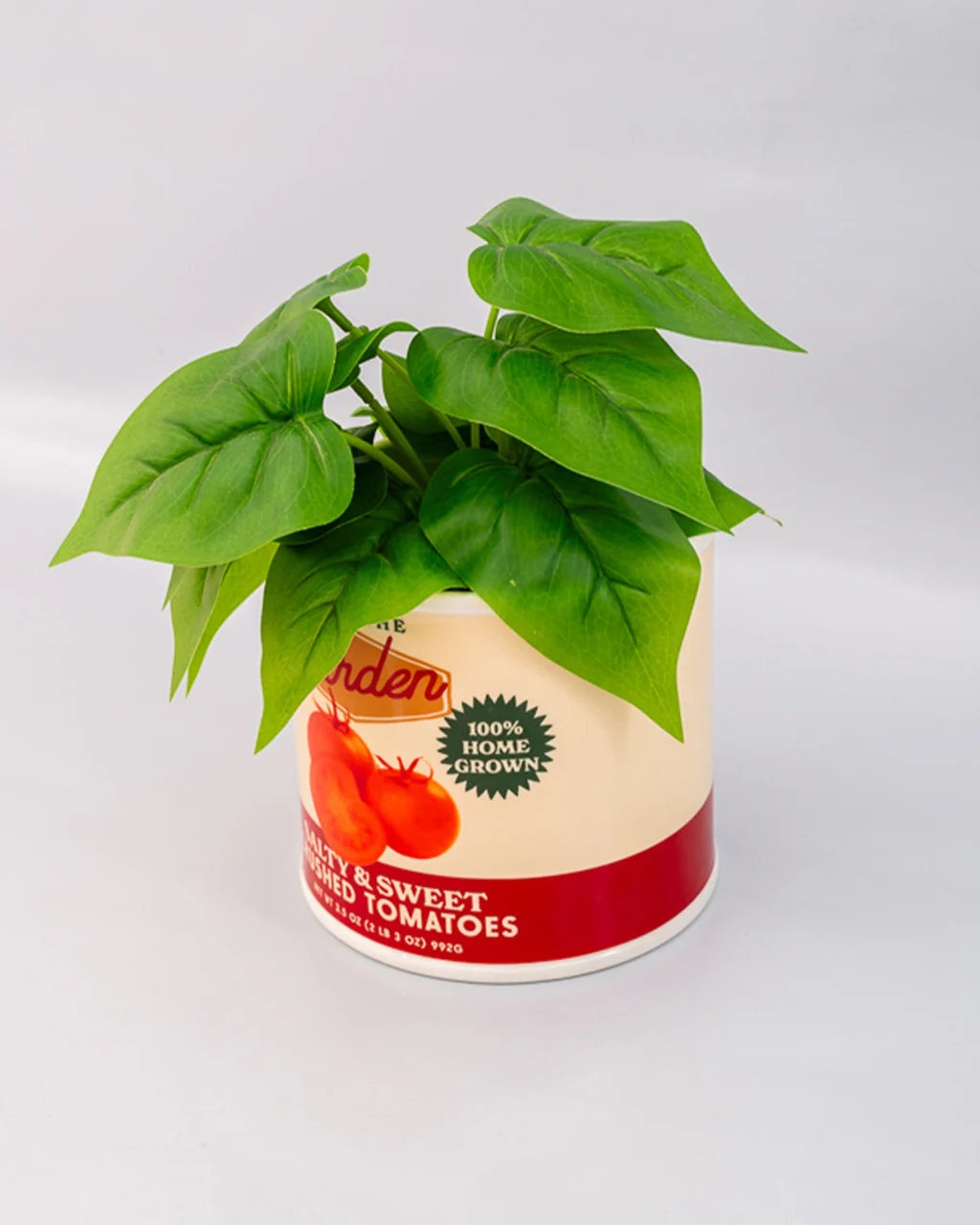 JARRON TOMATOES CAN
