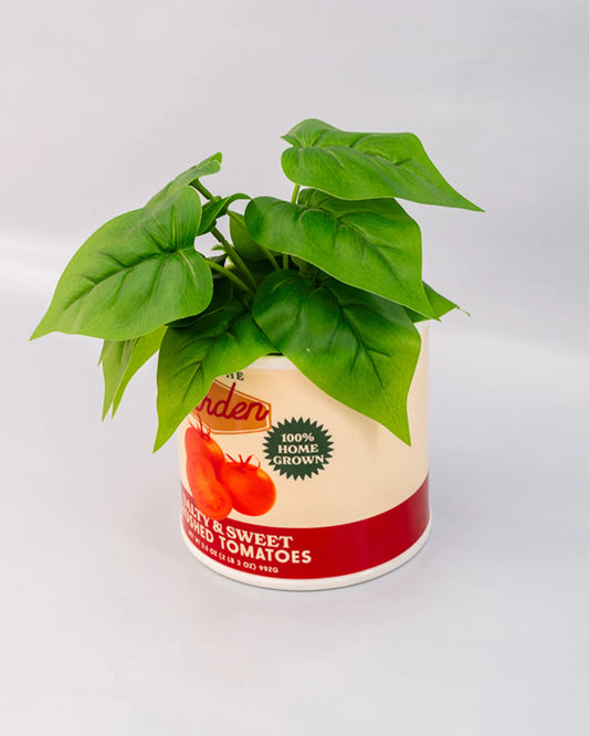 JARRON TOMATOES CAN