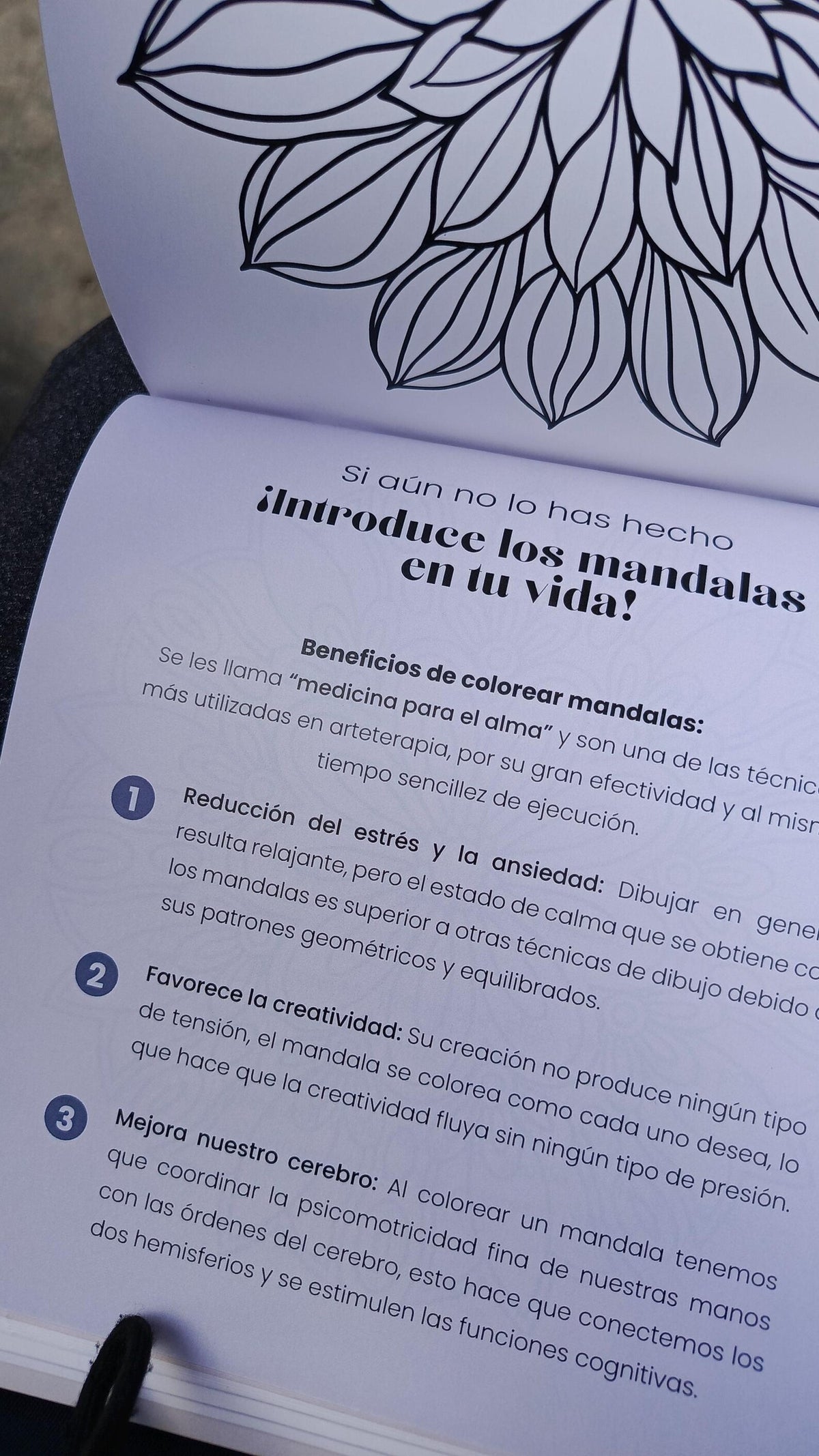 MINDFULNESS MANDALA