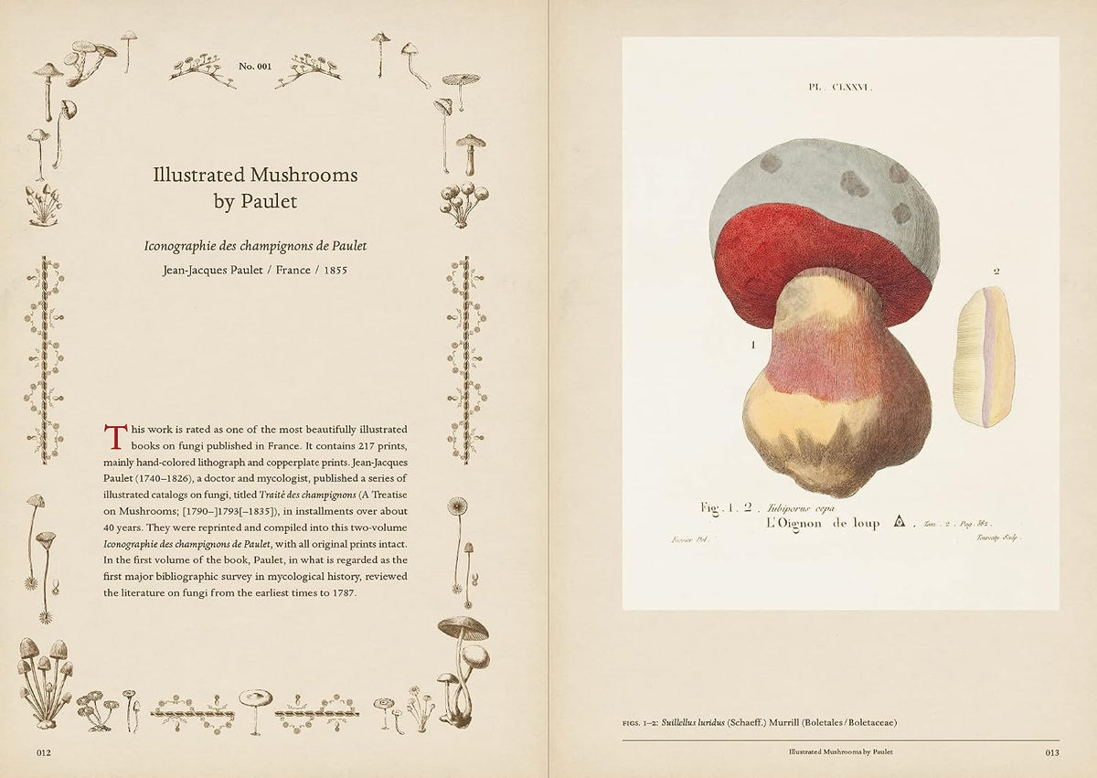 LIBRO MUSHROOM BOTANICAL ART