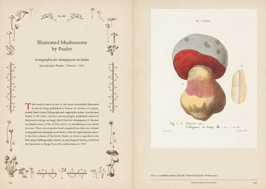 LIBRO MUSHROOM BOTANICAL ART