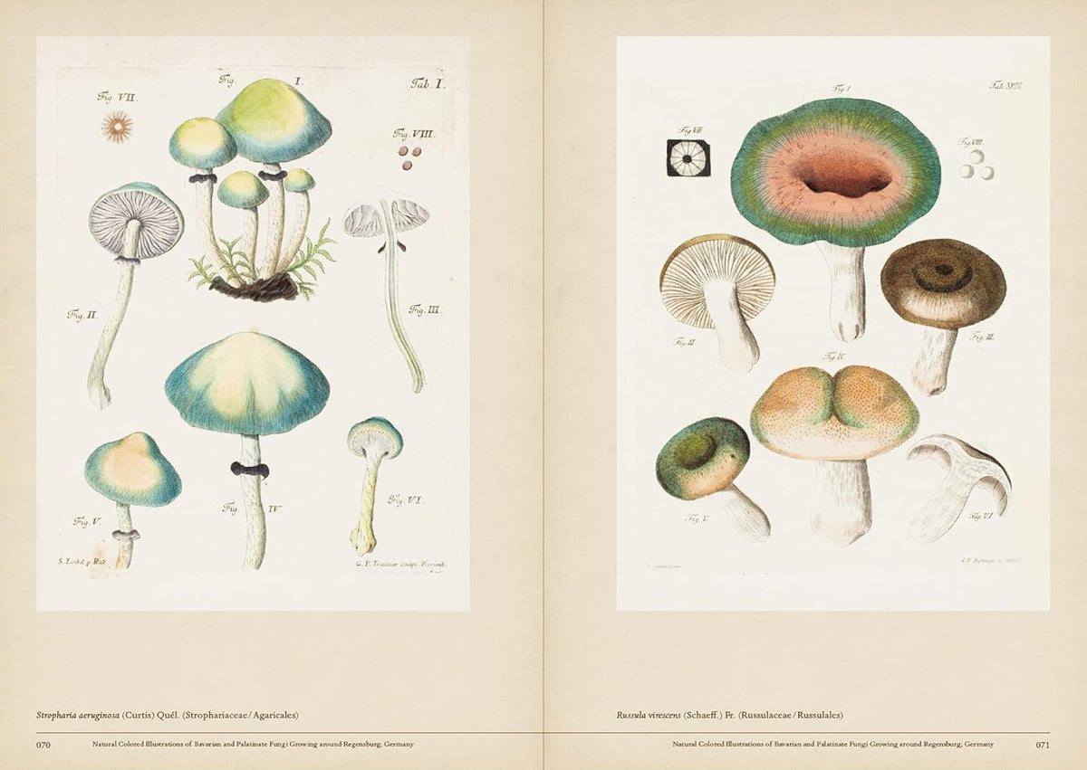 LIBRO MUSHROOM BOTANICAL ART